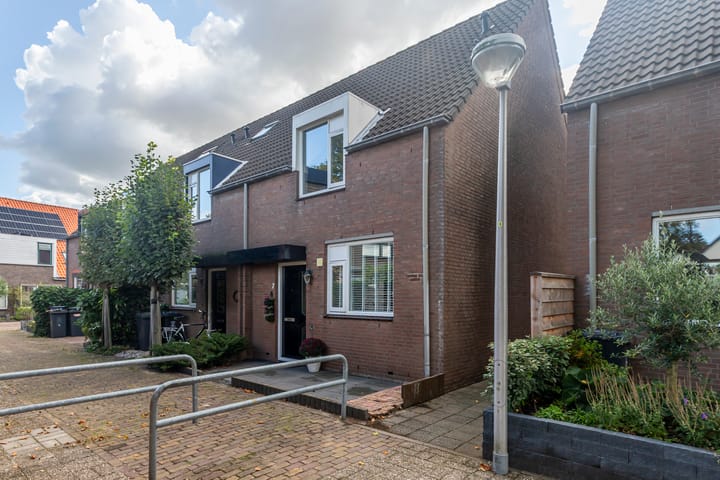 Foto 31 van Leverkruid 7