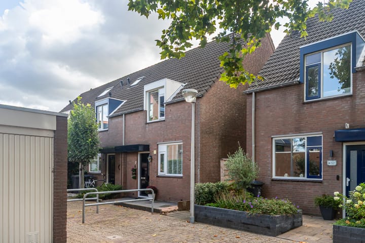 Foto 32 van Leverkruid 7