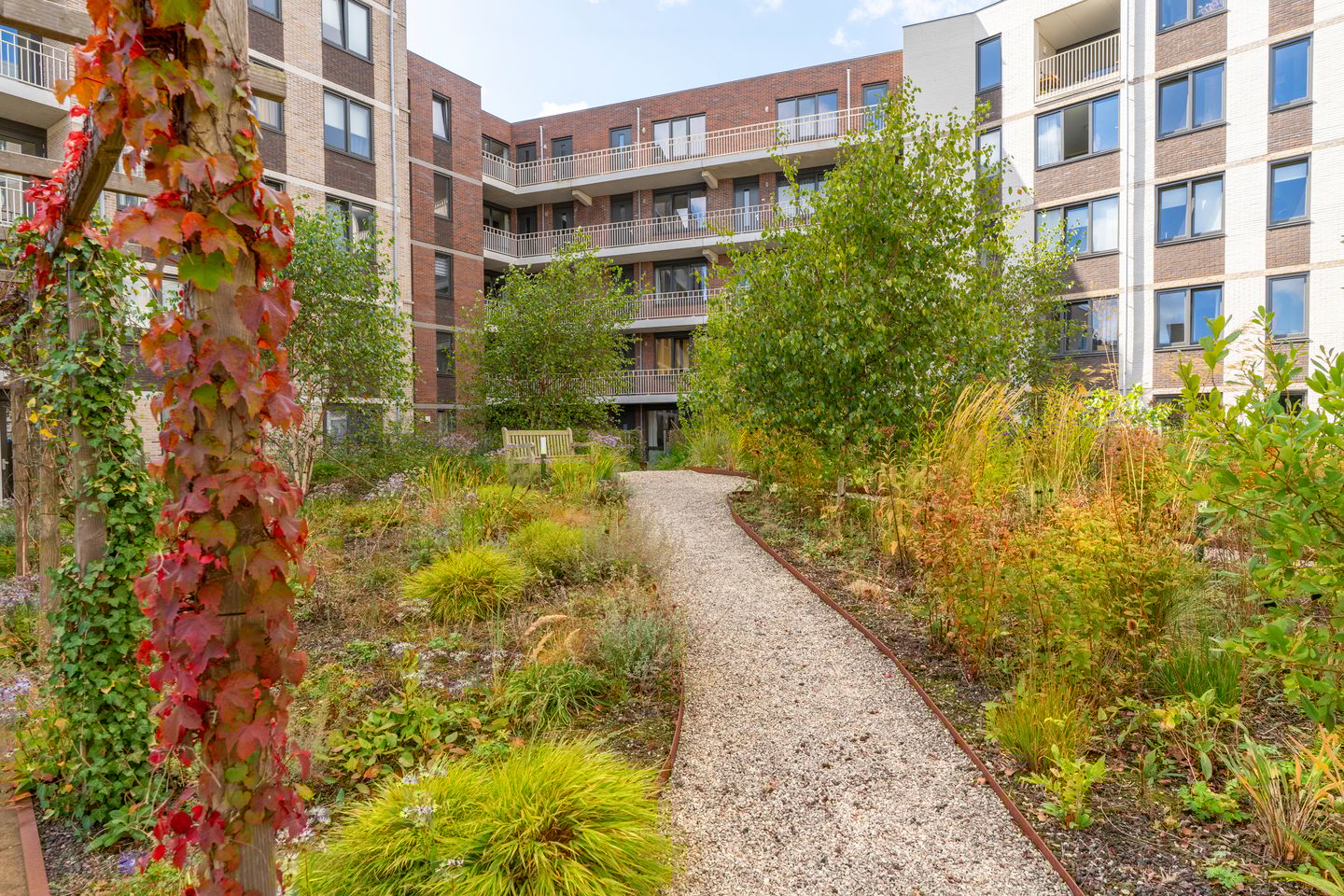 Foto 10 van David van Mollemstraat 7