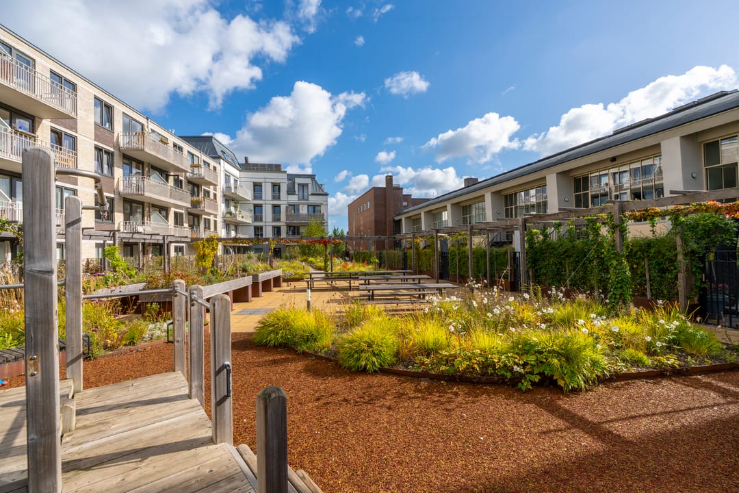 Foto 11 van David van Mollemstraat 7