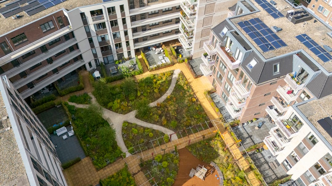 Foto 31 van David van Mollemstraat 7