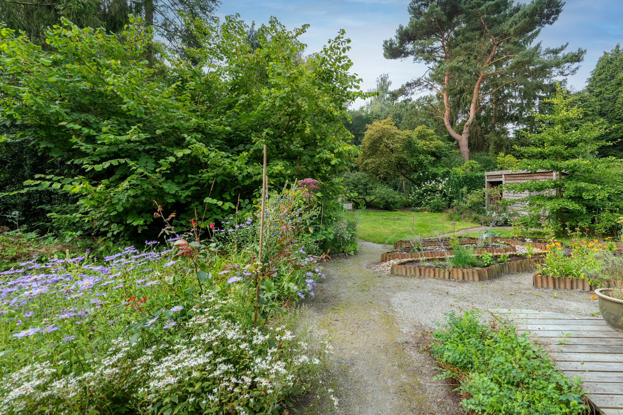 Foto 42 van Griendtsveenstraat 63