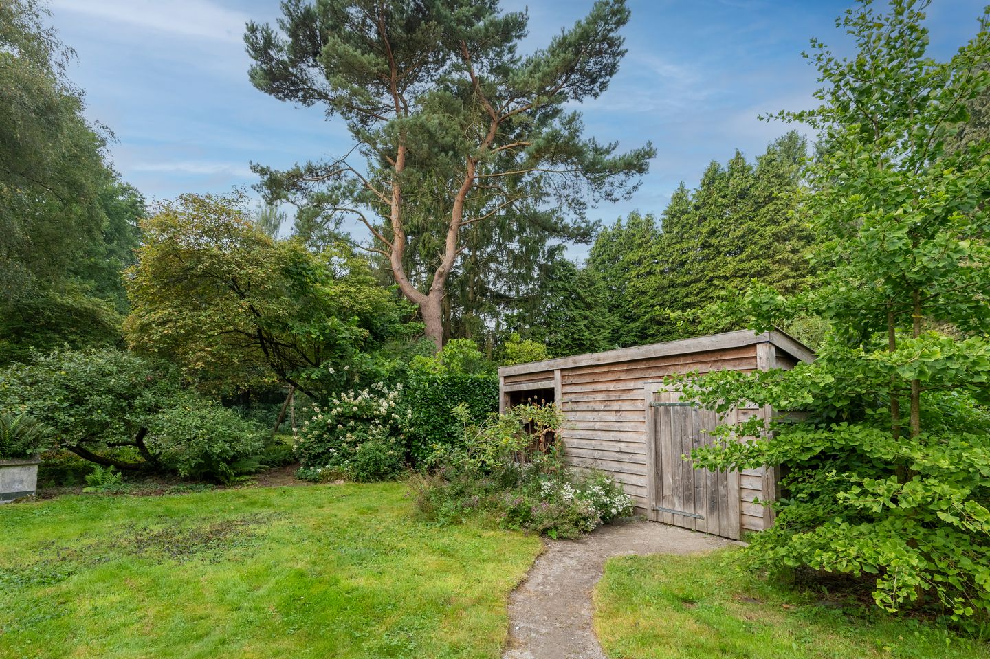 Foto 44 van Griendtsveenstraat 63