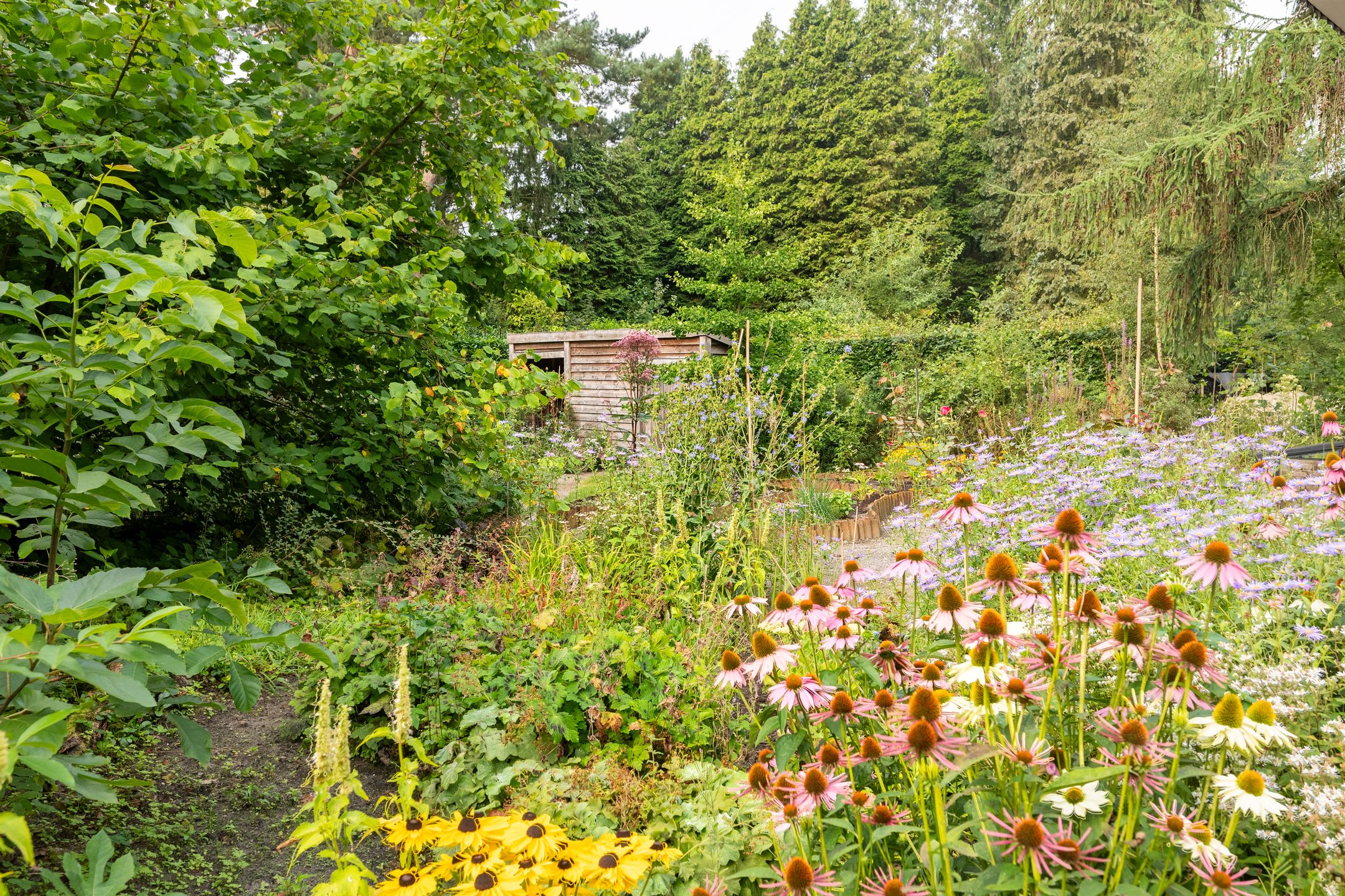 Foto 45 van Griendtsveenstraat 63