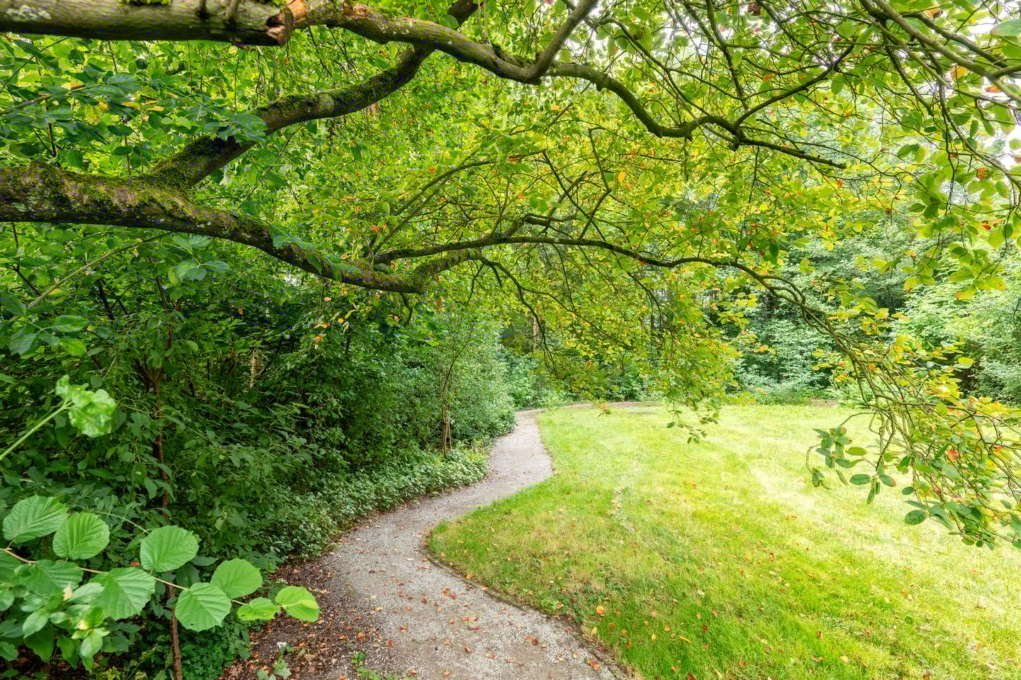 Foto 49 van Griendtsveenstraat 63