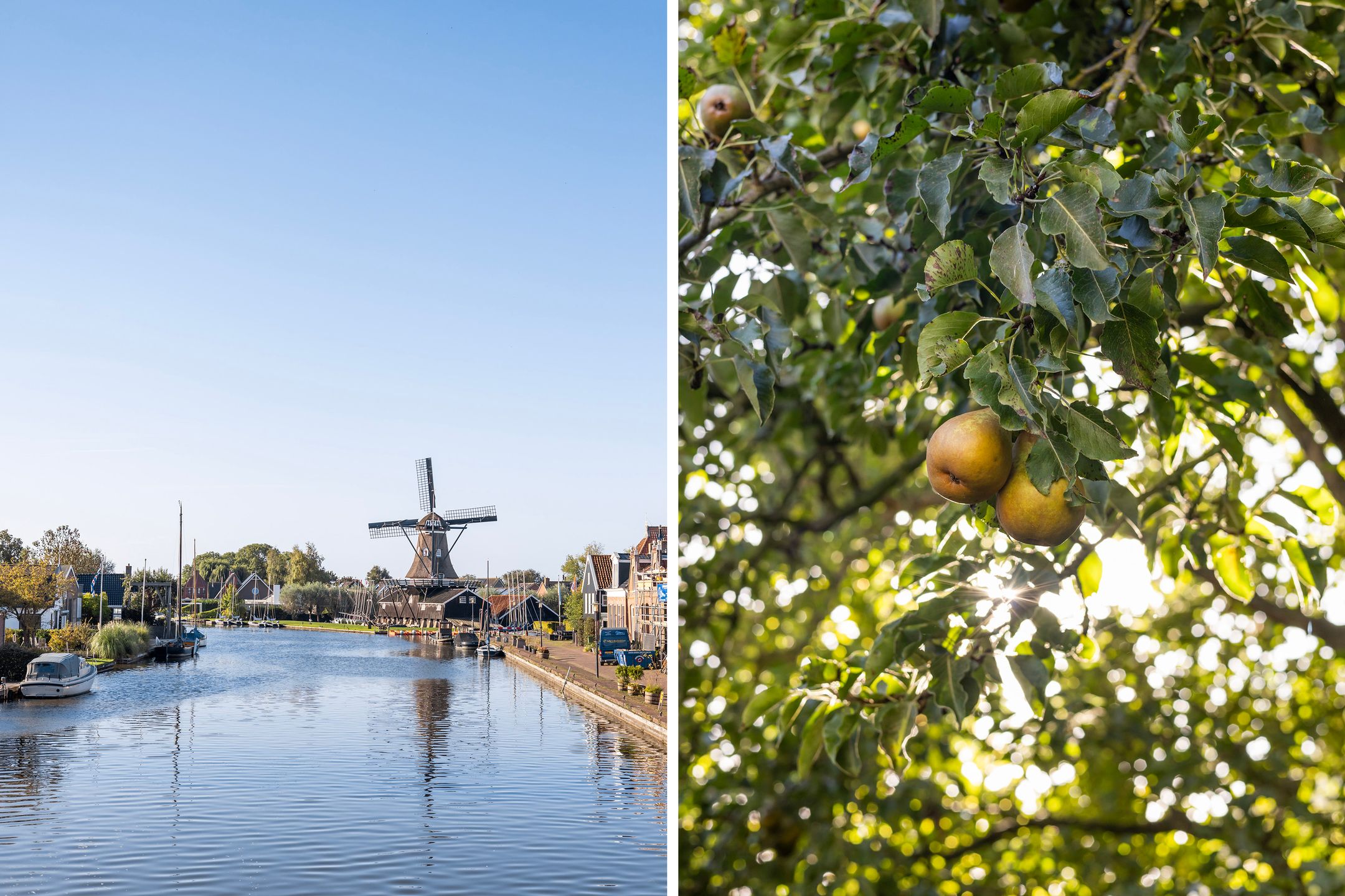 Foto 39 van Iewâl 10