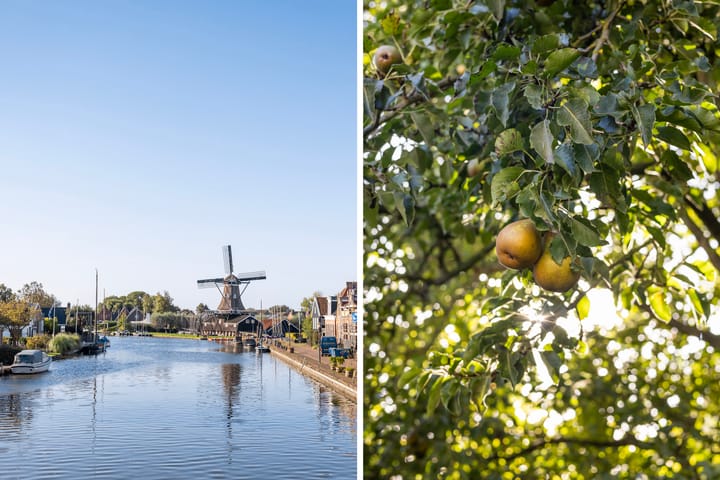 Photo 39 of Iewâl 10