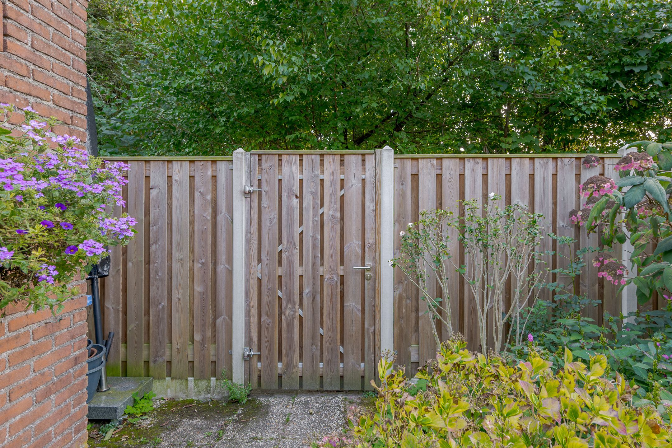 Foto 24 van Schepenenlaan 20