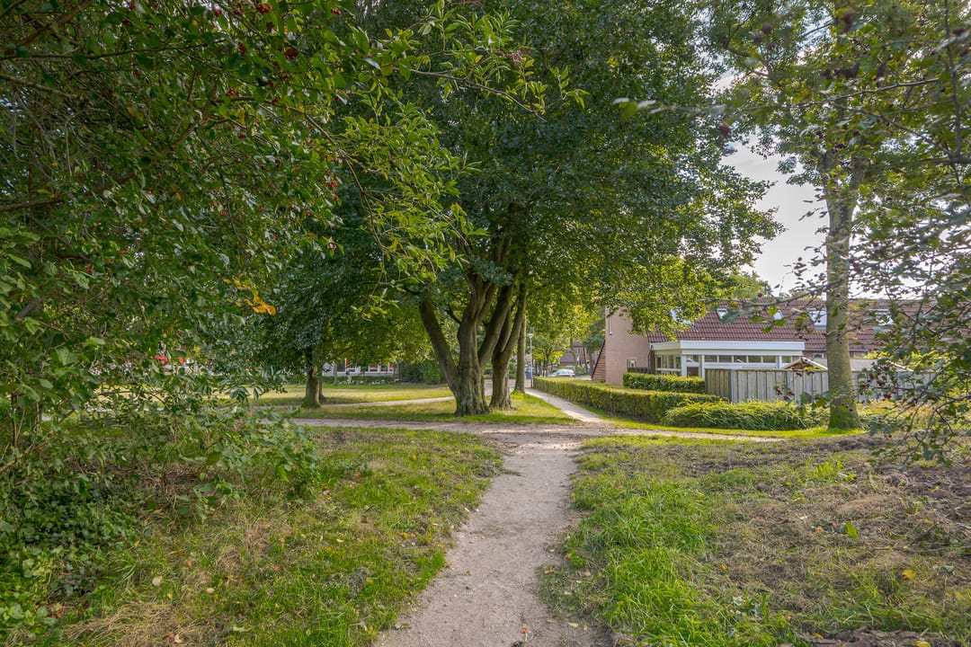 Foto 26 van Schepenenlaan 20