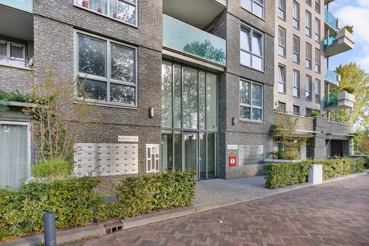 Foto 4 van Buenos Airesstraat 219