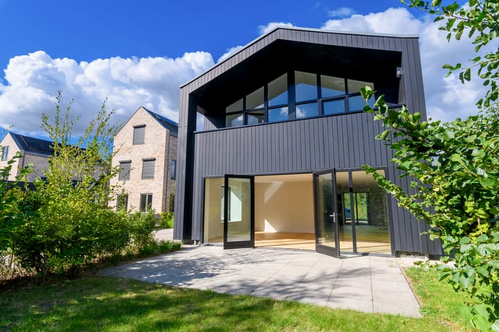 Foto 2 van Groene kikker 4