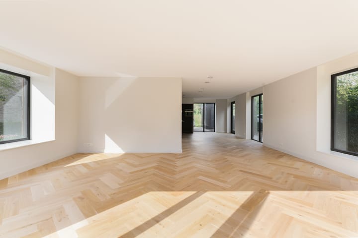 Foto 4 van Groene kikker 4