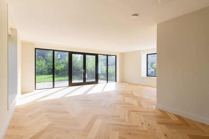 Foto 3 van Groene kikker 4