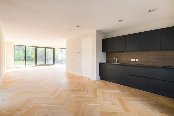 Foto 10 van Groene kikker 4