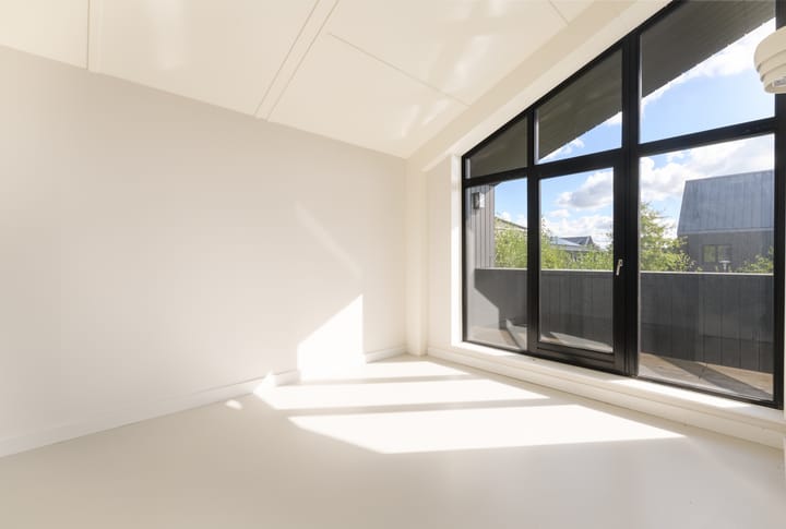 Foto 18 van Groene kikker 4