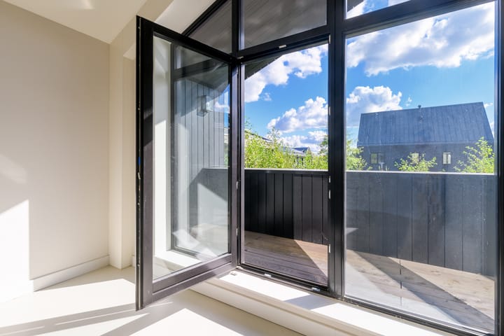 Foto 23 van Groene kikker 4