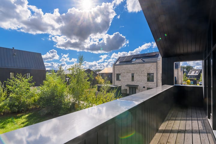 Foto 25 van Groene kikker 4