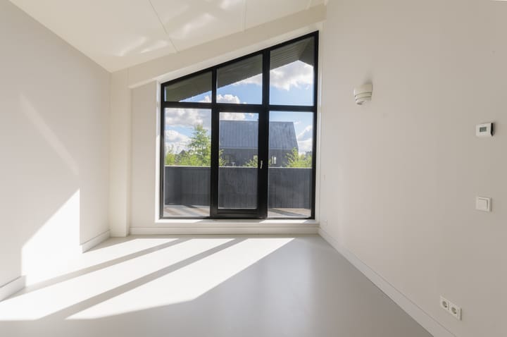 Foto 17 van Groene kikker 4