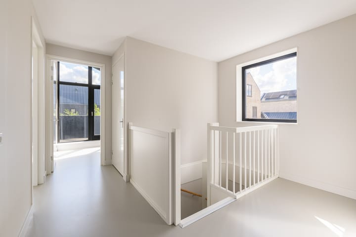 Foto 14 van Groene kikker 4