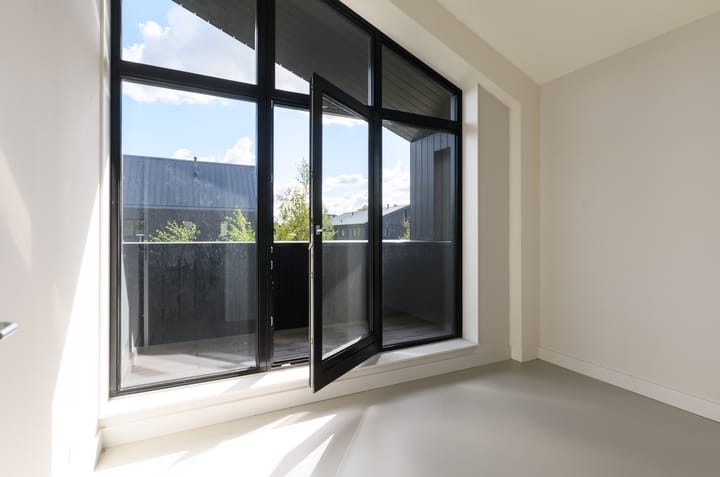 Foto 16 van Groene kikker 4