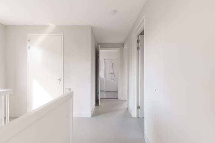 Foto 15 van Groene kikker 4