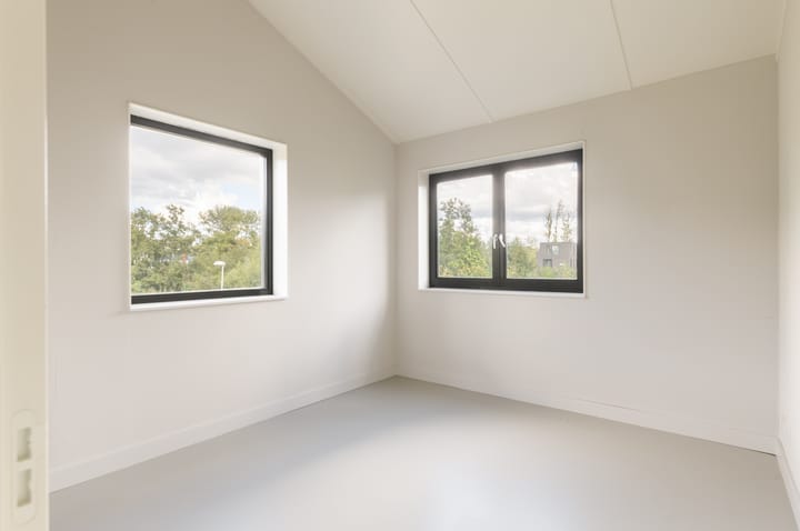 Foto 19 van Groene kikker 4