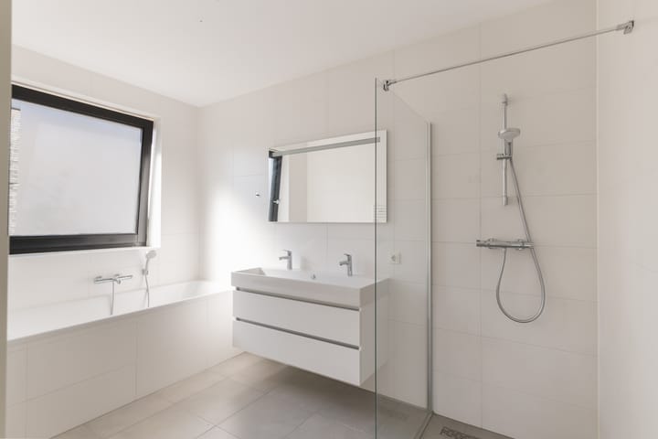 Foto 20 van Groene kikker 4