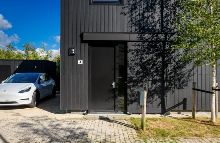 Foto 27 van Groene kikker 4