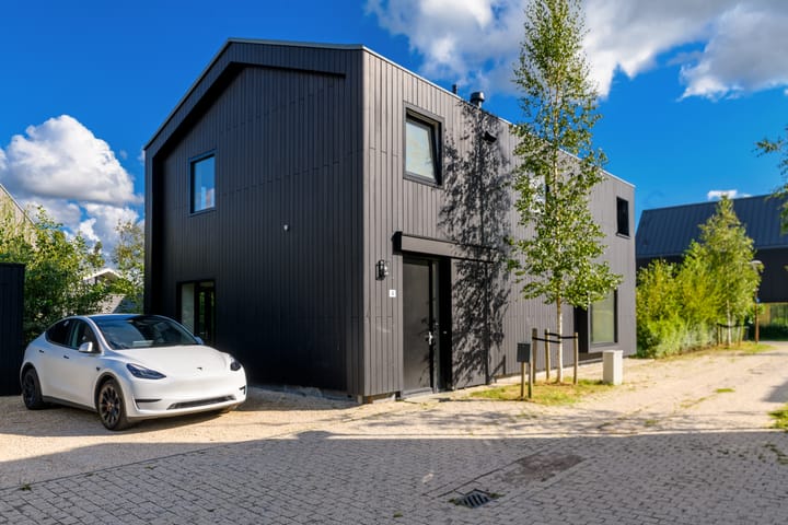 Foto 28 van Groene kikker 4