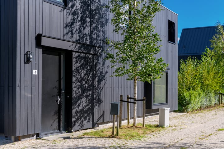 Foto 29 van Groene kikker 4