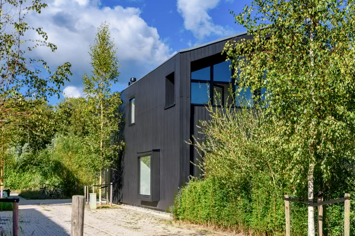 Foto 30 van Groene kikker 4