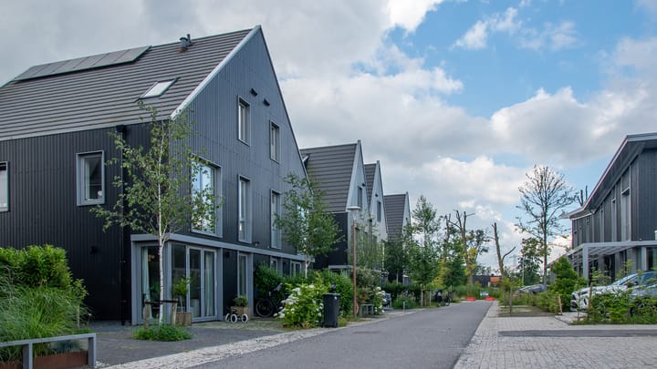 Foto 36 van Groene kikker 4