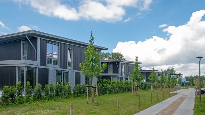 Foto 37 van Groene kikker 4