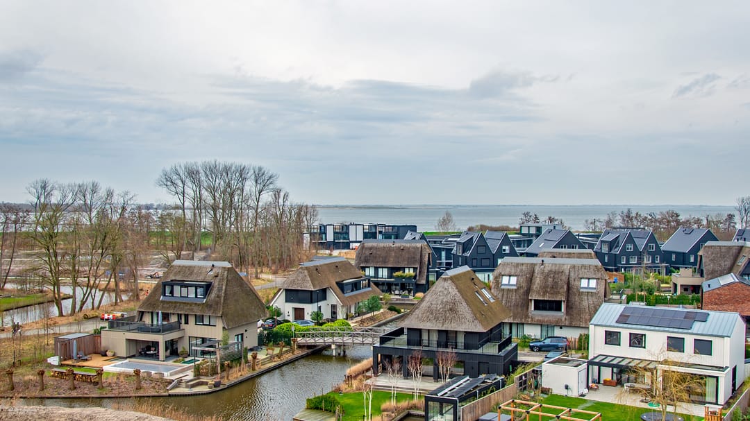 Photo 38 of Groene kikker 4
