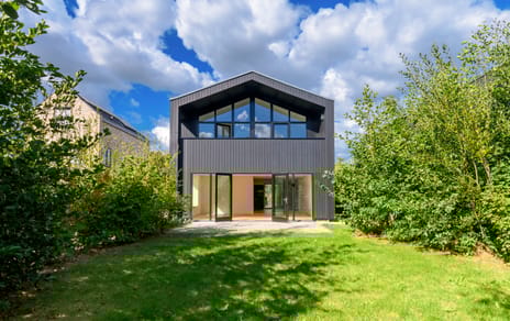 Groene kikker thumbnail