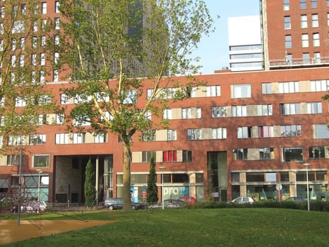 undefined main image