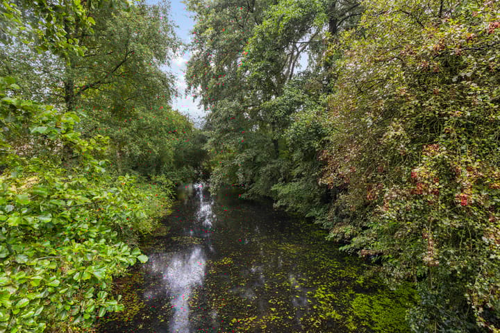 Photo 25 of Kruizemuntstraat 851