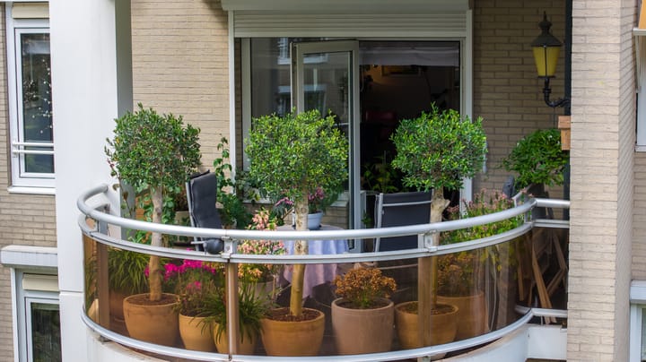 Foto 26 van Loolaan 20-D