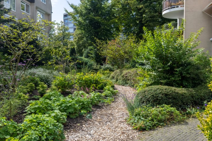 Foto 27 van Loolaan 20-D