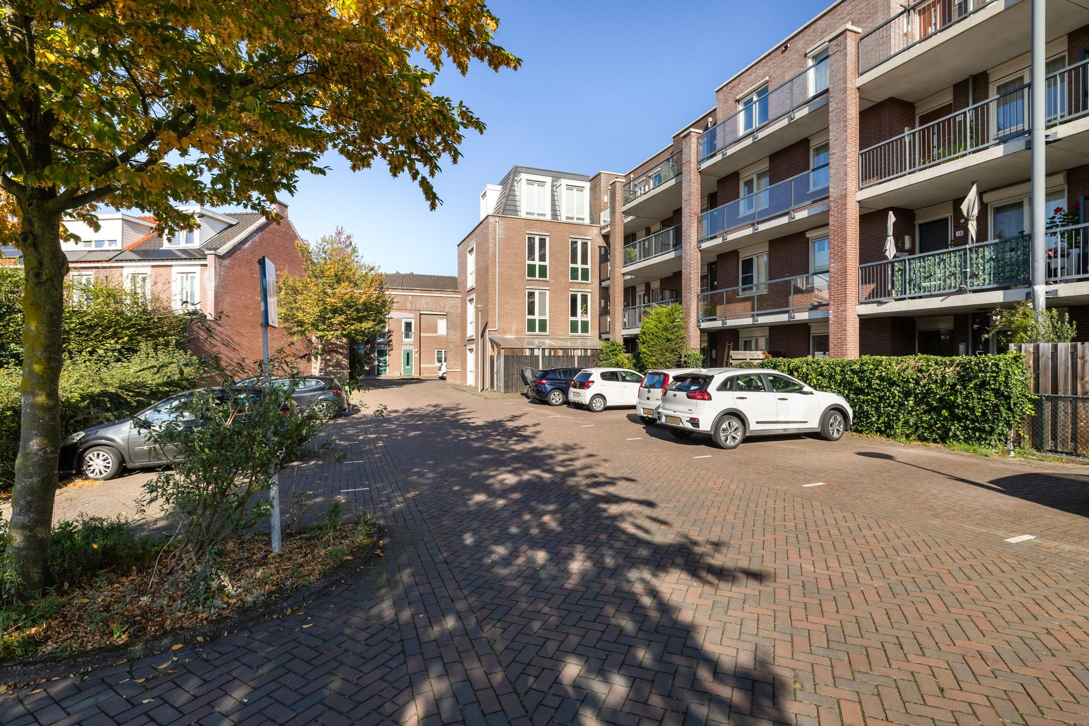 Foto 6 van Coelhorst 20