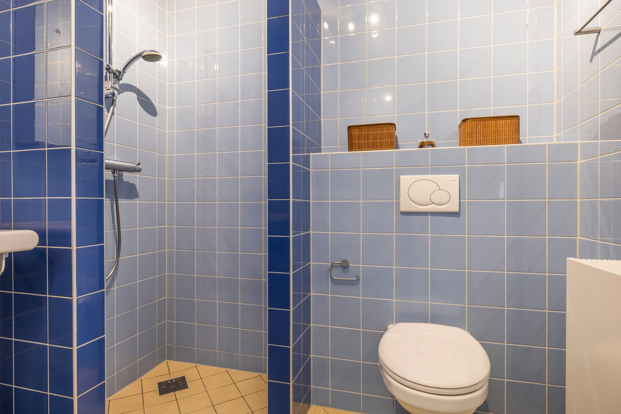 Foto 39 van Coelhorst 20