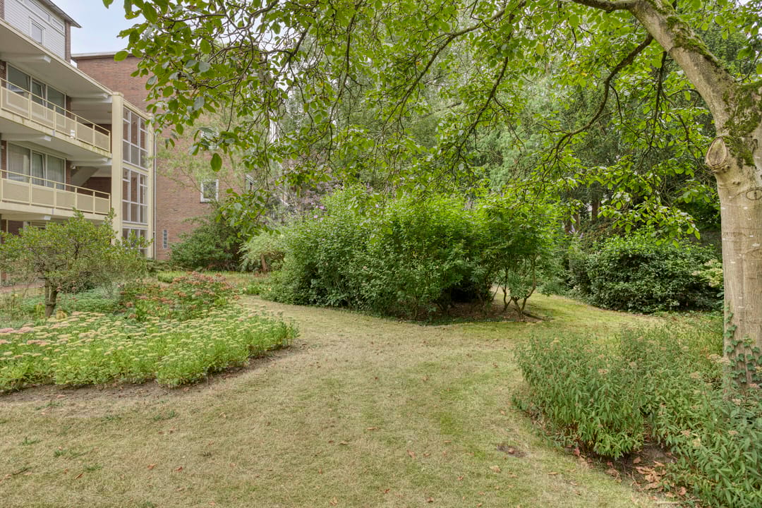 Foto 22 van Europalaan 206