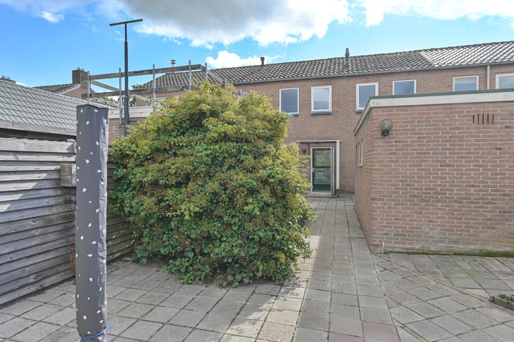 Photo 45 of Dongelte 11