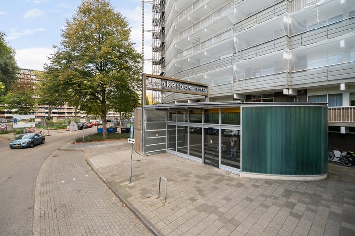 Photo 5 of Jonkerbos 201