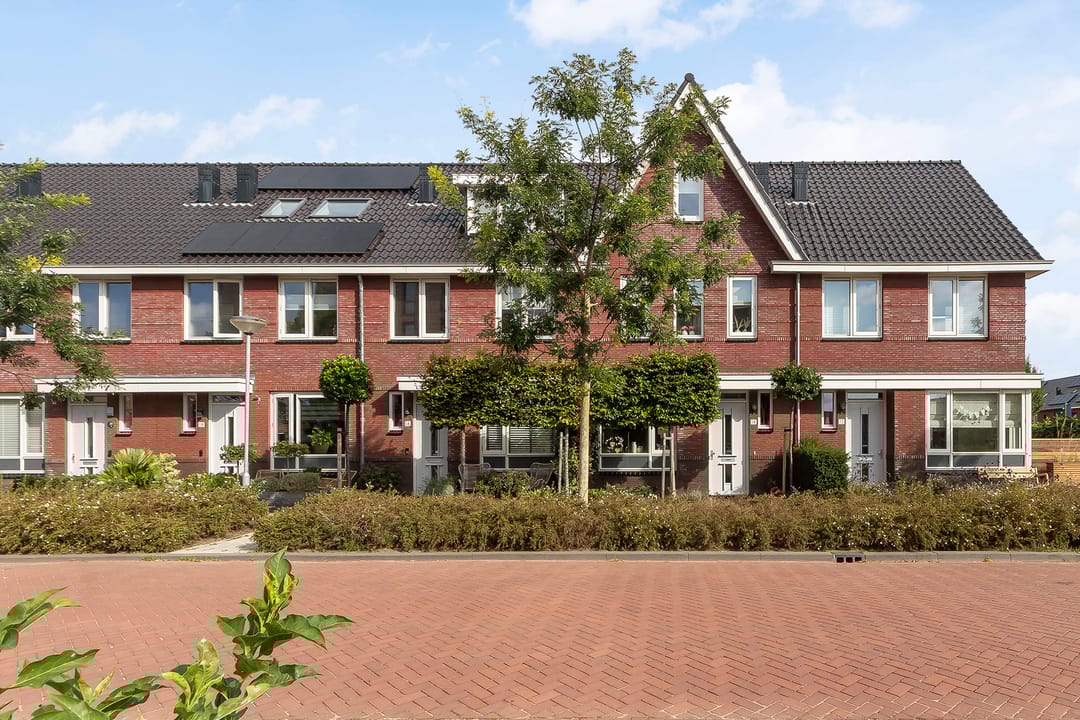 Foto 32 van Menagerie 14