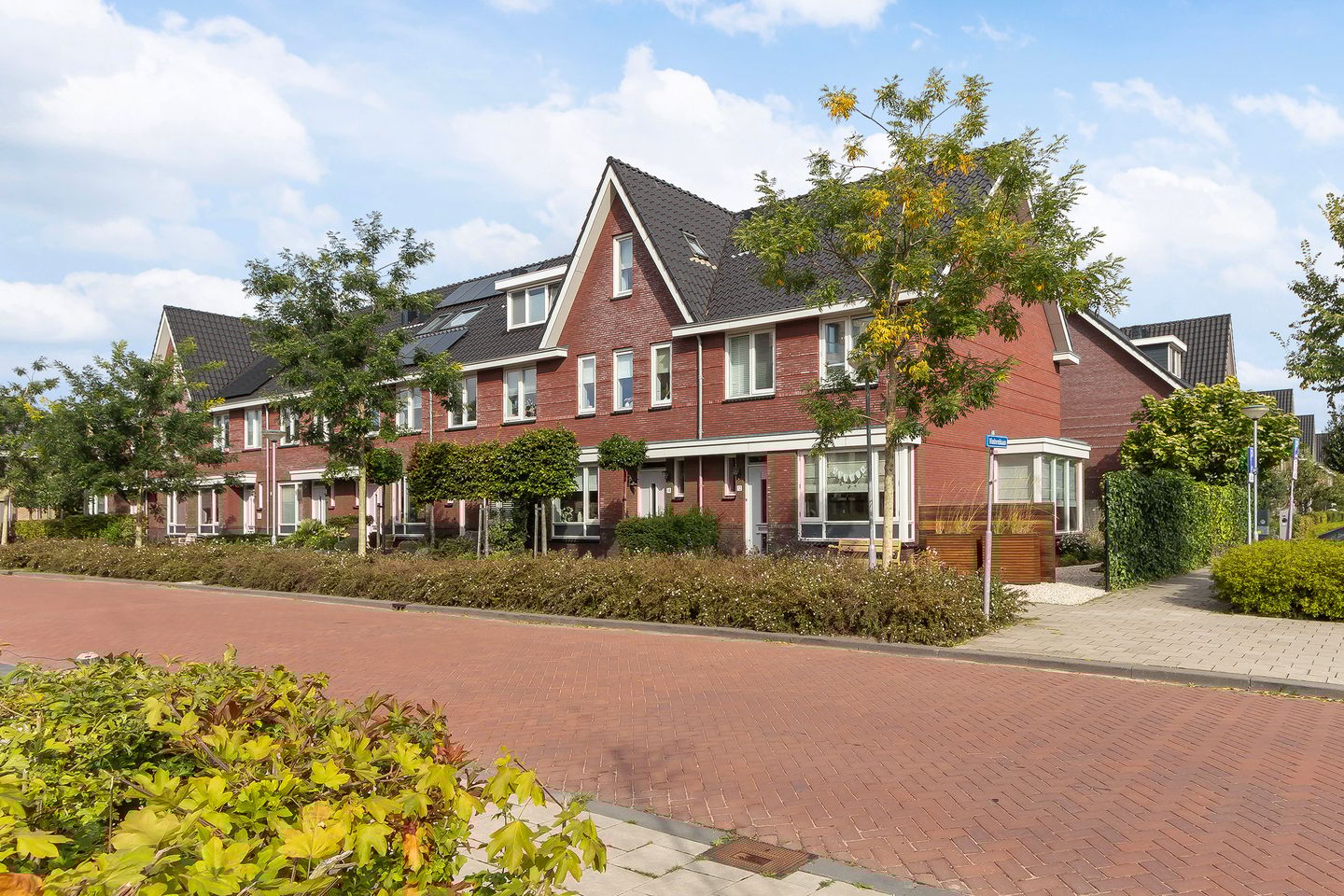 Foto 5 van Menagerie 14