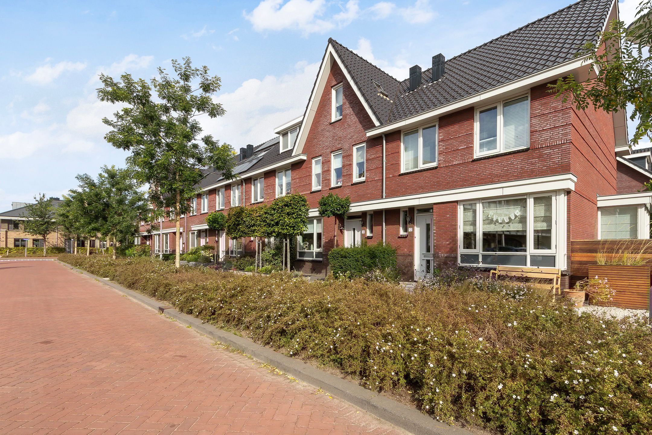 Foto 6 van Menagerie 14