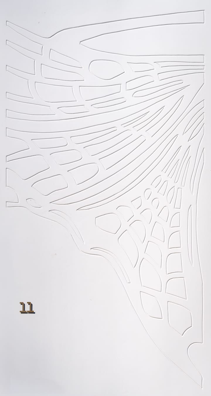 Foto 4 van Koos Speenhoffstraat 11