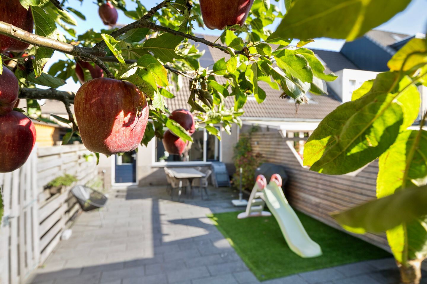 Foto 25 van Monteverdistraat 77