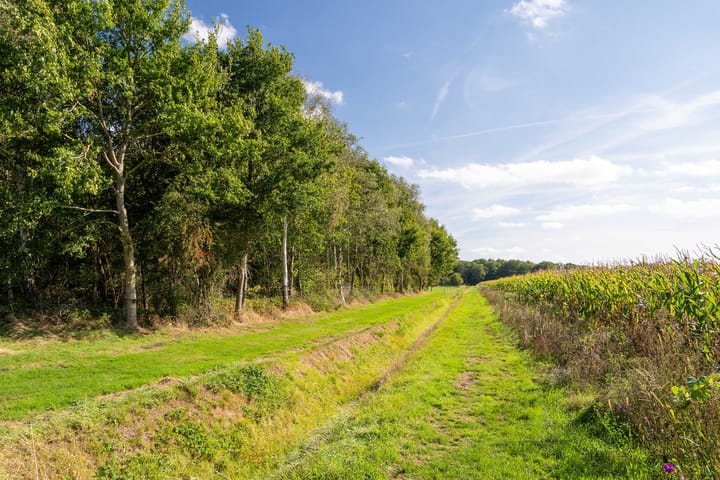 Foto 37 van Beek en Brink 17